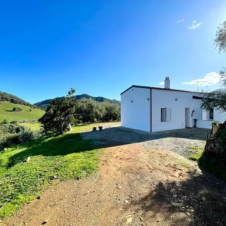 Sunny Hill
