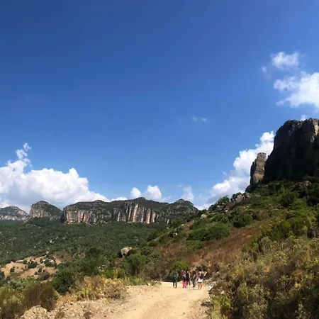 Sunny Hill Jerzu