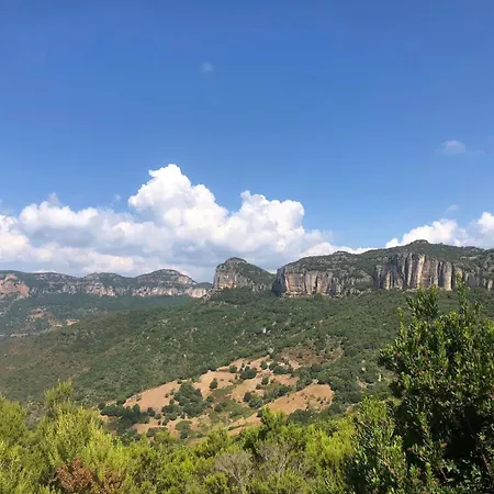 Sunny Hill Jerzu